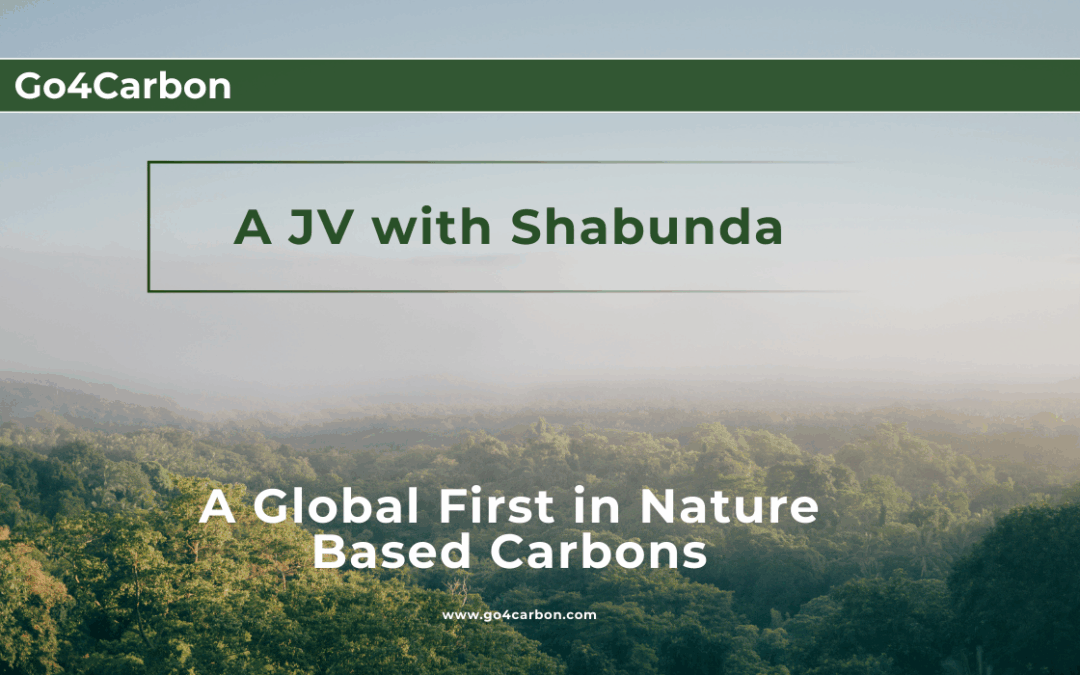 Announcing JV with Shabunda Project to create a Global First in Nature Based Carbon