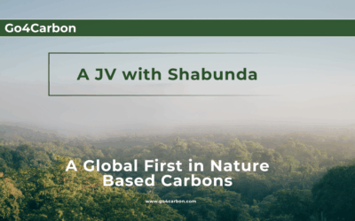 Announcing JV with Shabunda Project to create a Global First in Nature Based Carbon