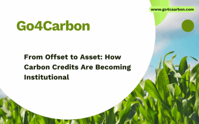 From Offset to Asset: How Carbon Credits Are Becoming Institutional