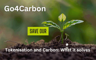 Tokenisation and Carbon