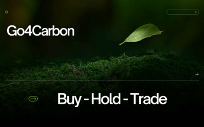 Buy – Hold – Trade